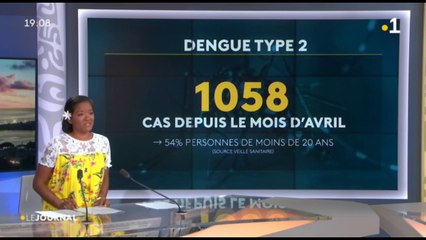 Wolbachia, une arme biologique contre les moustiques bientôt utilisée à Tahiti
