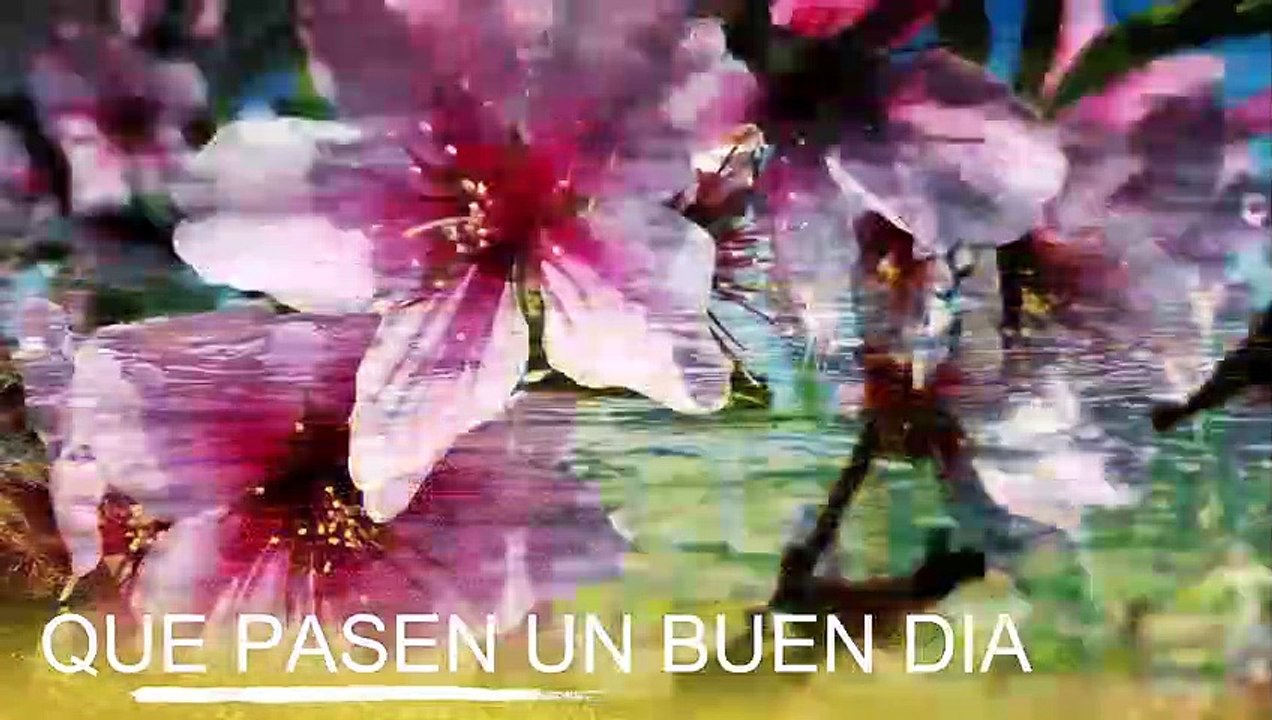 Conoce El Tiempo de Hoy Sábado 5 de Octubre de 2019