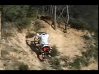 vtt free ride team gravity 9.81 sponso INDEM Clothing
