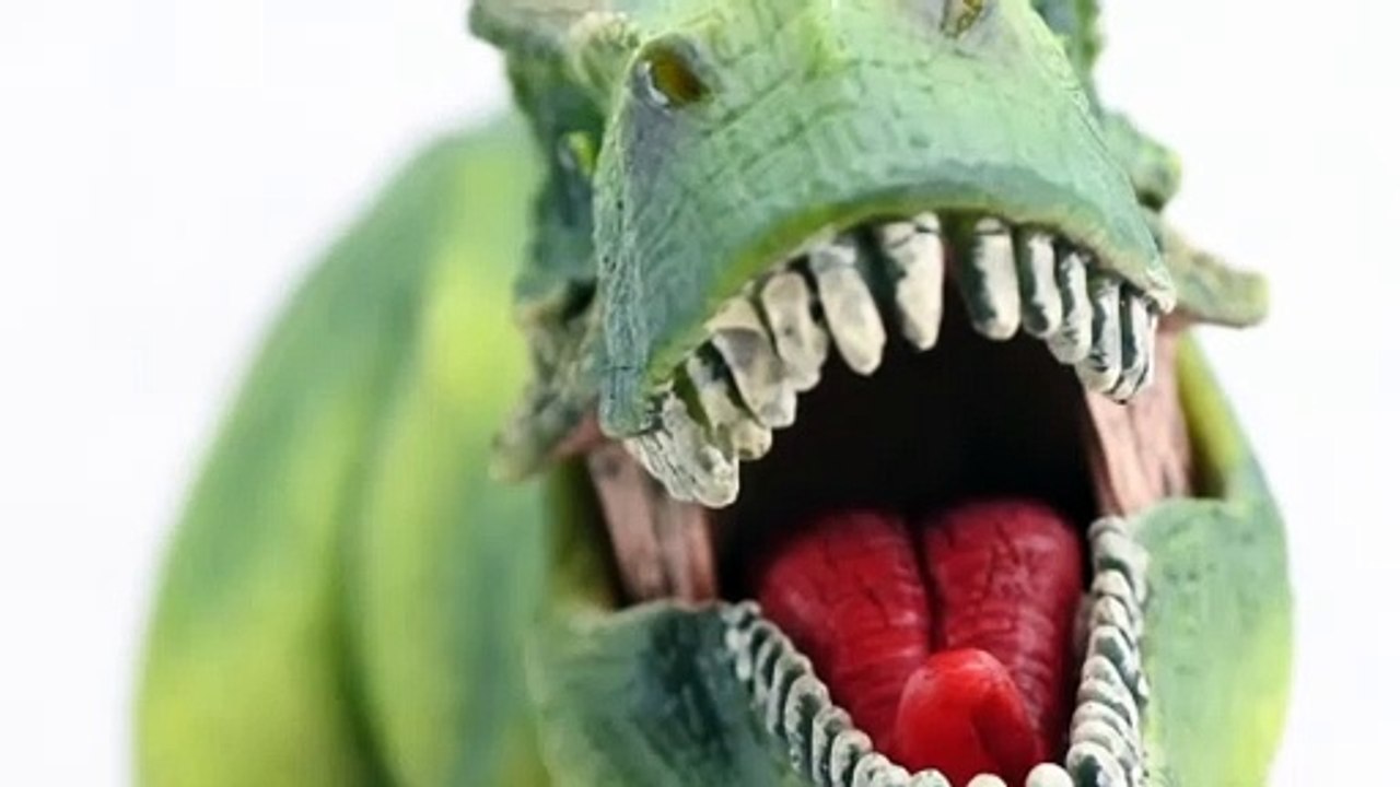 Trex | Funny Educational Kids Videos