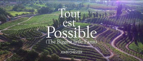 Bande annonce - TOUT EST POSSIBLE VF - Full HD