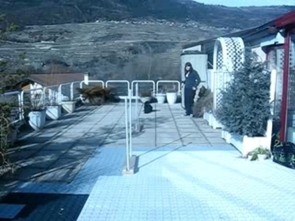 MVI_2255