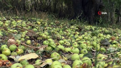 Kars'tan kartpostallık sonbahar görüntüleri