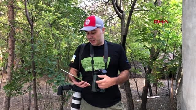 Kars ve sarıkamış'ın yaban hayatı çocuk kitabında toplandı