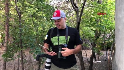 Kars ve sarıkamış'ın yaban hayatı çocuk kitabında toplandı