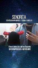 【Seorita】这首歌真香 Shawn Mendes Camila Cabello