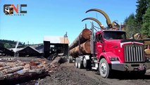 World Dangerous Monster Truck Fastest Extreme Processing, Heavy biggest Truck Logging Skill(1)