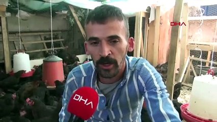 İstanbul´dan köyüne döndü, şimdi yumurta satıyor