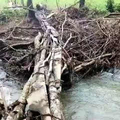 Pont de fortune reliant 2 zones de production agricole par excellence à Lélouma.