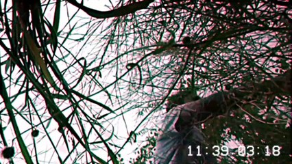 Cj TopOff - Psychedelic TopOff Video [ Prod. Purple Six Beats ]