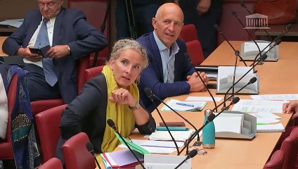 Delphine BATHO pose une question