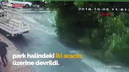 Bahçelievler'de ağacın devrilme anı kamerada