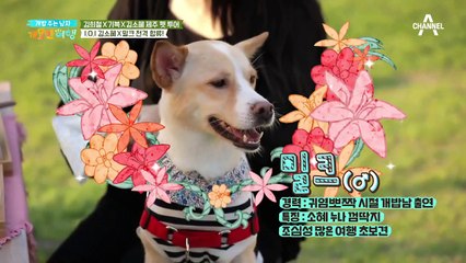 원년 멤버의 등장! 희철과 제주 펫 투어를 떠날 게스트는?!