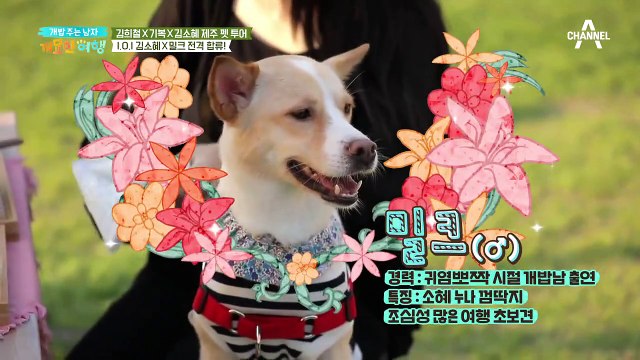 원년 멤버의 등장! 희철과 제주 펫 투어를 떠날 게스트는?!