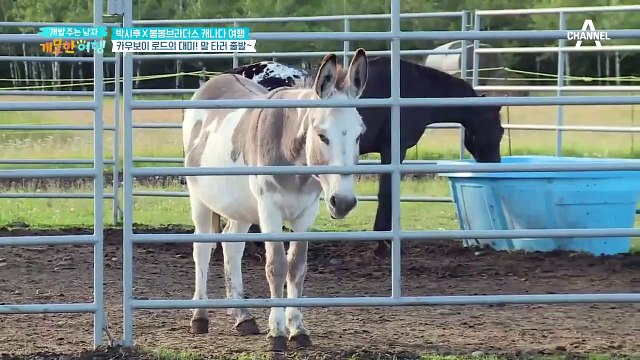 뛰는 시늉만 했다?! 시후 도령의 드라마 비하인드 스토리(ㅋㅋ)