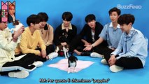 [SUB ITA] I BTS gioca con i Puppies mentre risponde alle domande dei fan