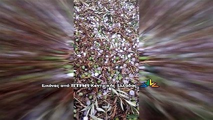 Εικόνες βιβλικής καταστροφής στον Ελαιώνα