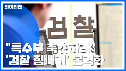 "서울중앙지검 특수부 축소해야"...법무부 '검찰 힘빼기' 본격화 / YTN
