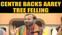 Prakash Javadekar backs Aarey Tree felling, says trees were cut for Delhi Metro too | OneIndia News
