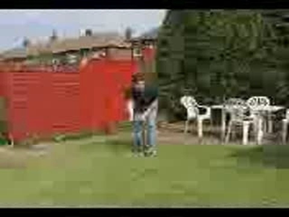 le chien se fait mal