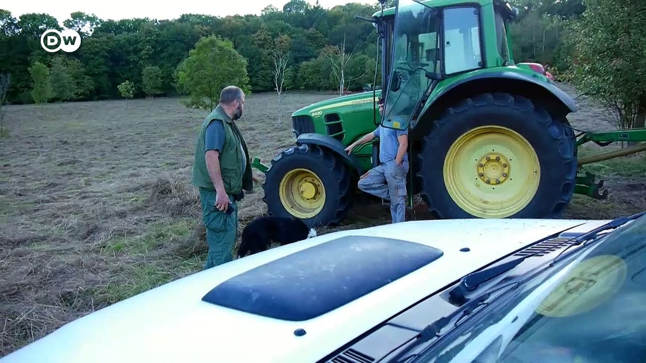 Streit um Agrarsubventionen in Tschechien | Made in Germany