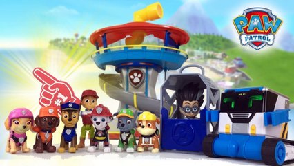 Paw Patrol Gets a Mystery Really RAD Robots MiBro Present