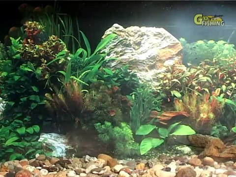 26. Братья Щербаковы - Ловля окуня на вертушки