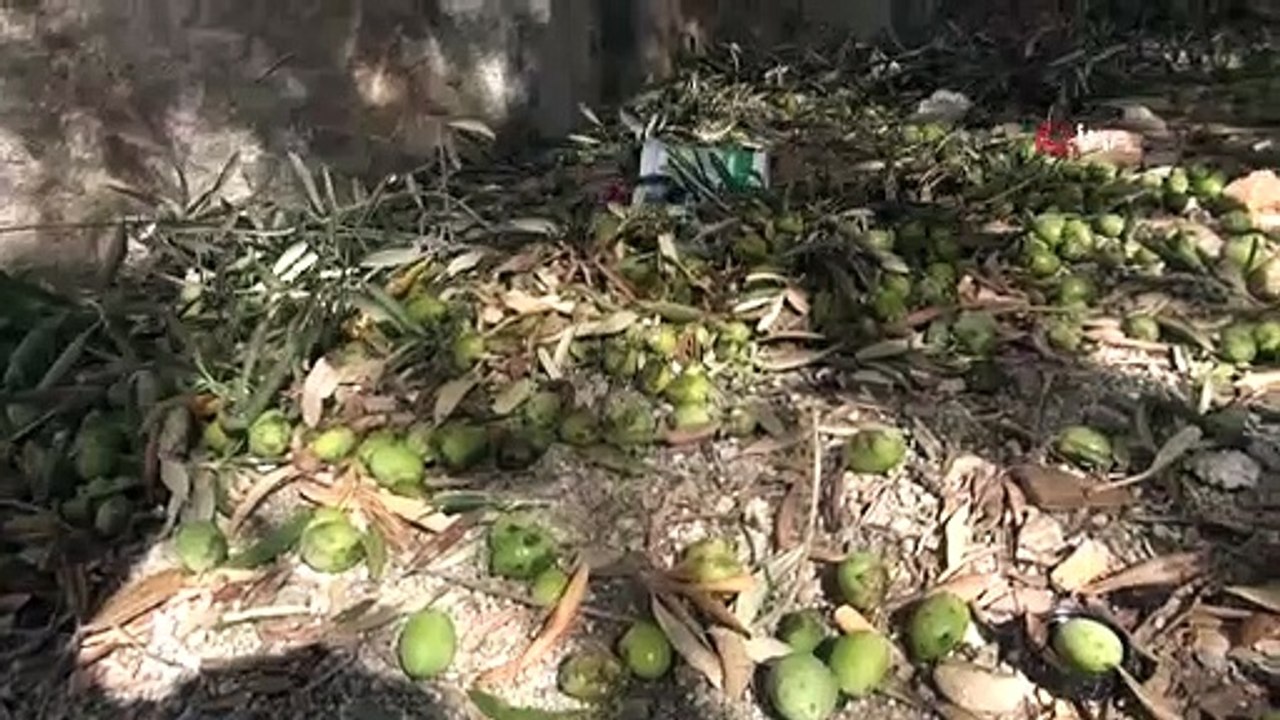 Muğla'da ceviz büyüklüğünde dolu yağdı; araçlar, güneş panelleri ve camlar zarar gördü