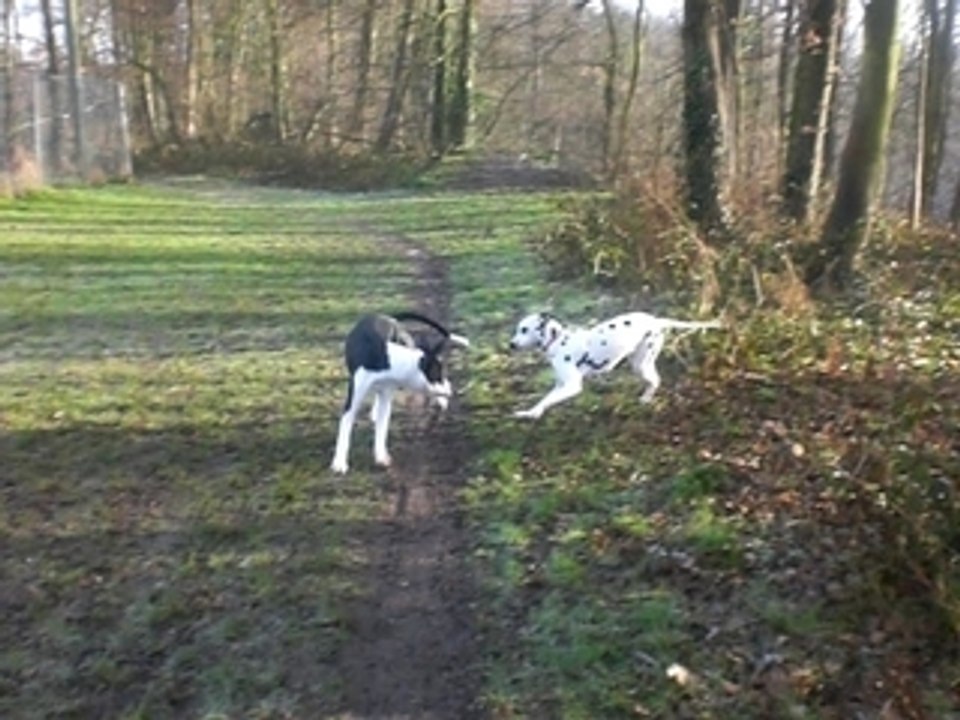 Cyana et Kaya