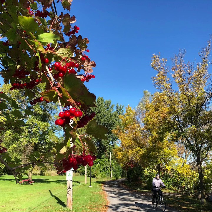 Couleurs d'automne