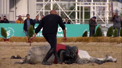 4. Etnospor Kültür Festivali - Atlı Gösteriler