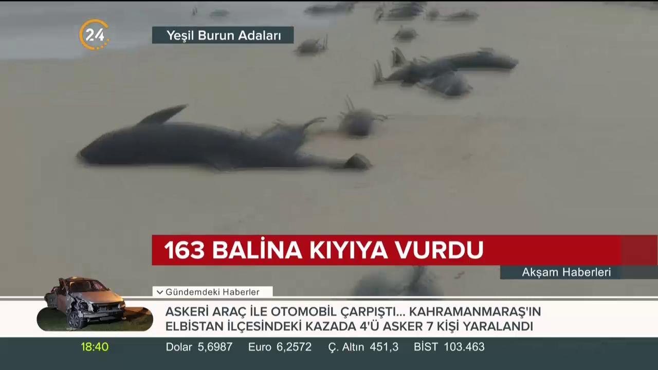 İnsanlar seferber oldu
