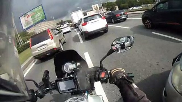 Moscow Motorists Rescue Kitten During Rush Hour