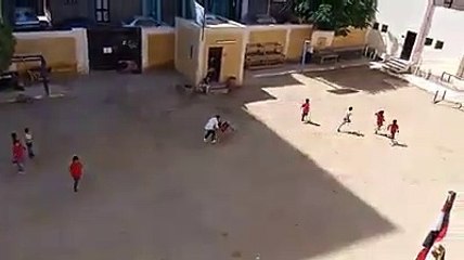 معلمين بدرجة أولياء أمور .. عندما تتحول العملية التعليمية لبناء إنسان وليس سبوبة