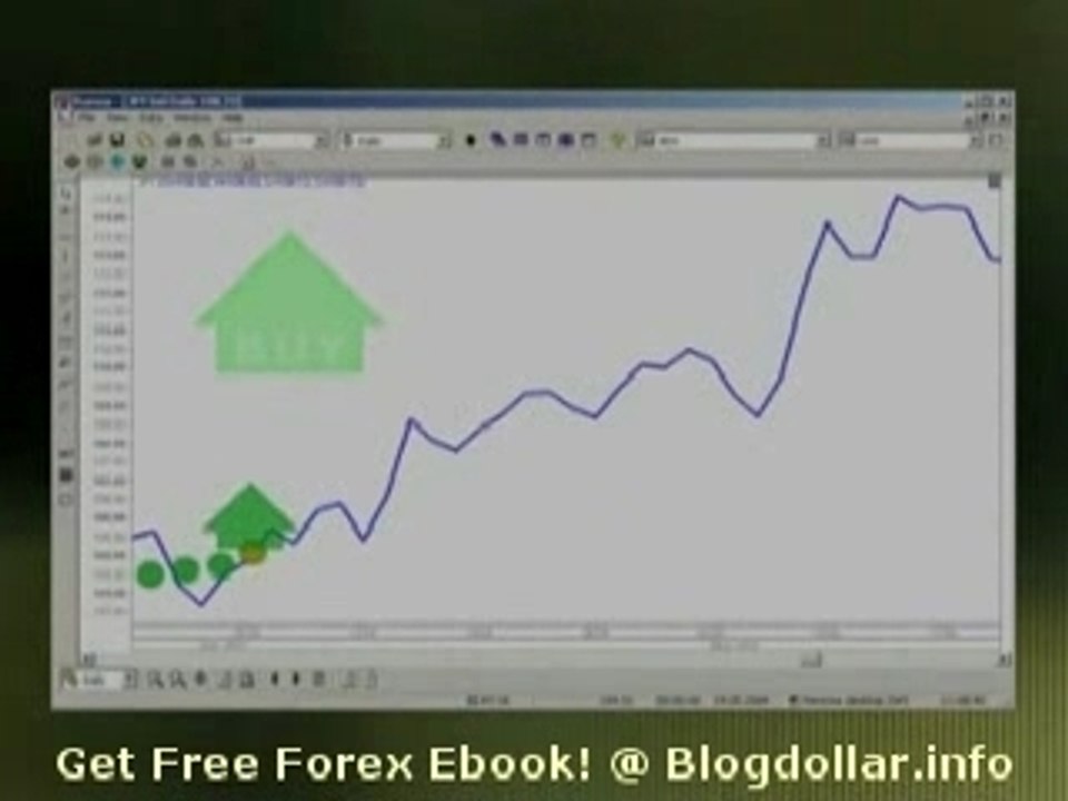 Beginner Forex Trading
