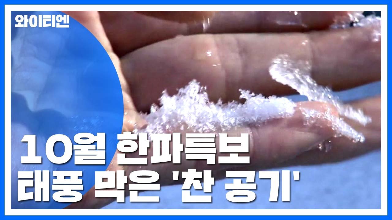 최강 태풍 '하기비스' 한반도로 오지 못하는 이유 / YTN