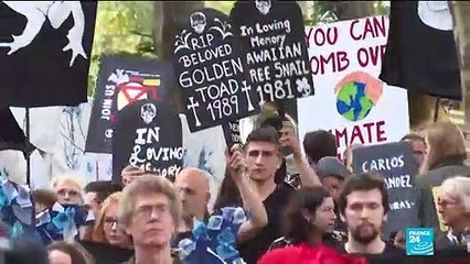 Extinction Rebellion: Who are they and what do they want?