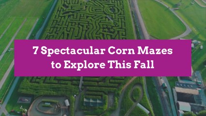 7 Spectacular Corn Mazes to Explore This Fall