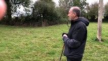 Les talents du border collie auprès de moutons