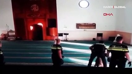 Hollanda'da camiye 'köpekli baskına' tepki