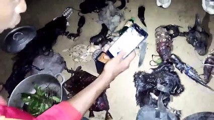 URGENCE: Un groupe d'individus armés interpellé dans une forêt à N'ZÉREKORÉ.