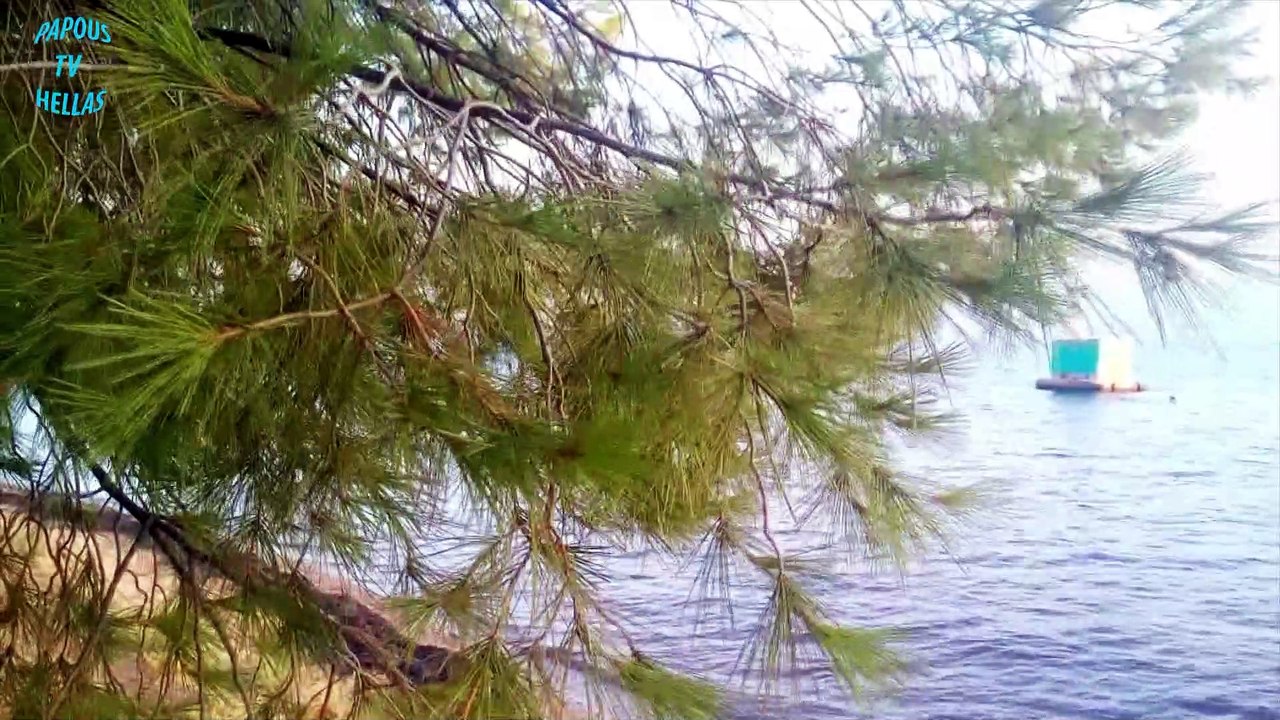 Greek Nature 1