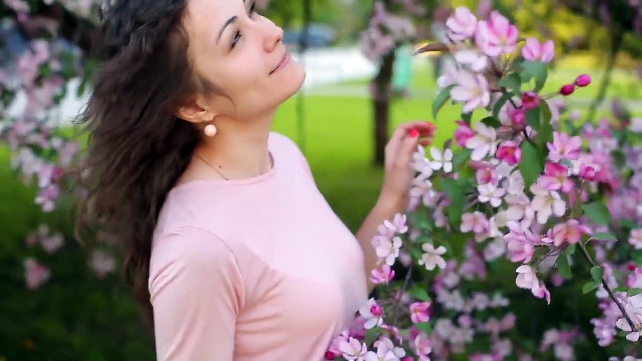 HasenChat Music - The Tree of Life