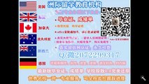 美国 Harvard大学毕业证 文凭学历 （Q /微 20722 99317 ） 快速办理美国哈佛大学高仿毕业证/高仿成绩单/假文凭学历/真实大使馆/真实留信网认证 网上永久可查Harvard University diploma