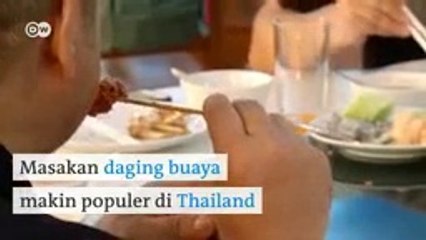 Daging Buaya Thailand Disebut Berkhasiat Bagi Kesehatan