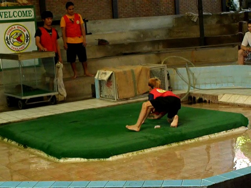 The boy and the snake