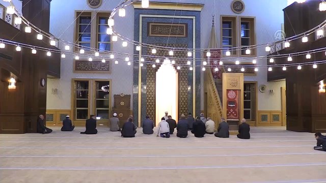 Diyanetten fidan dikme etkinliği - ANKARA