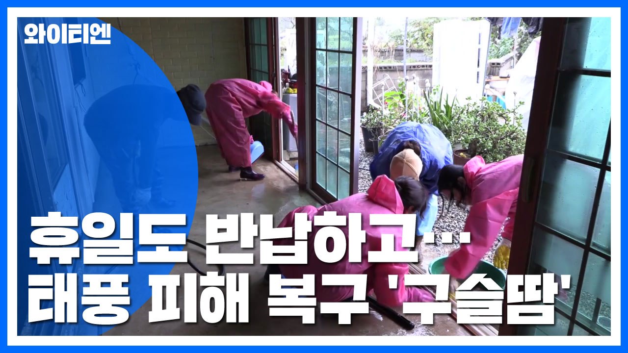휴일도 반납...태풍 피해 복구 '구슬땀' / YTN