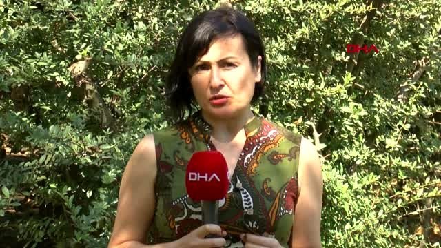 21 yıldır bir çocuğun akciğerleri ile nefes alıyor