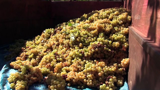 Hatay'ın damak çatlatan lezzeti: Çalpak pekmezi